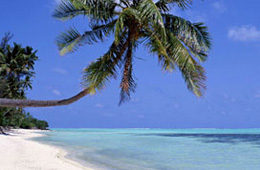Incentive Travel